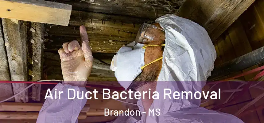 Air Duct Bacteria Removal Brandon - MS
