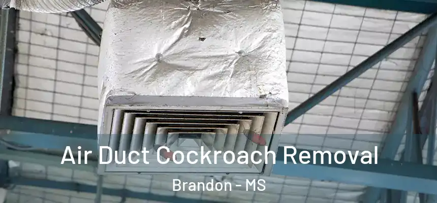 Air Duct Cockroach Removal Brandon - MS