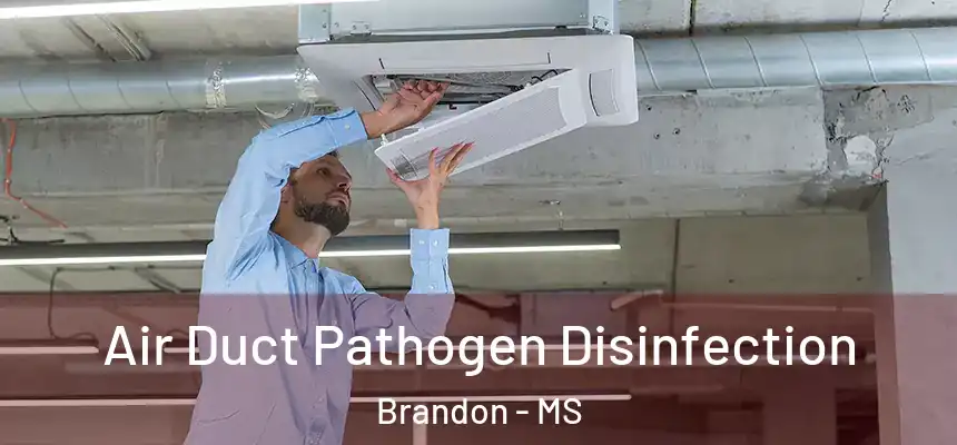  Air Duct Pathogen Disinfection Brandon - MS