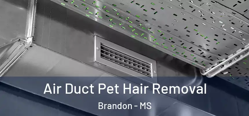Air Duct Pet Hair Removal Brandon - MS