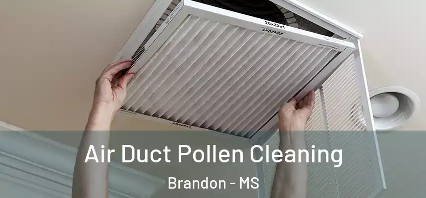 Air Duct Pollen Cleaning Brandon - MS