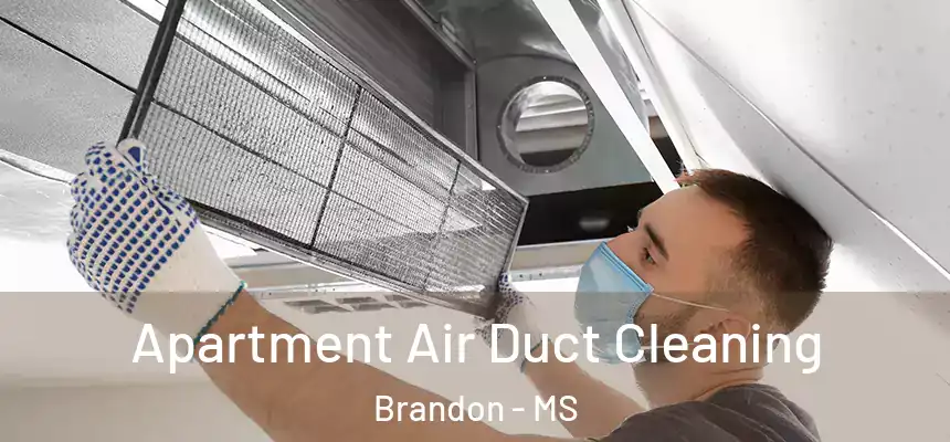Apartment Air Duct Cleaning Brandon - MS