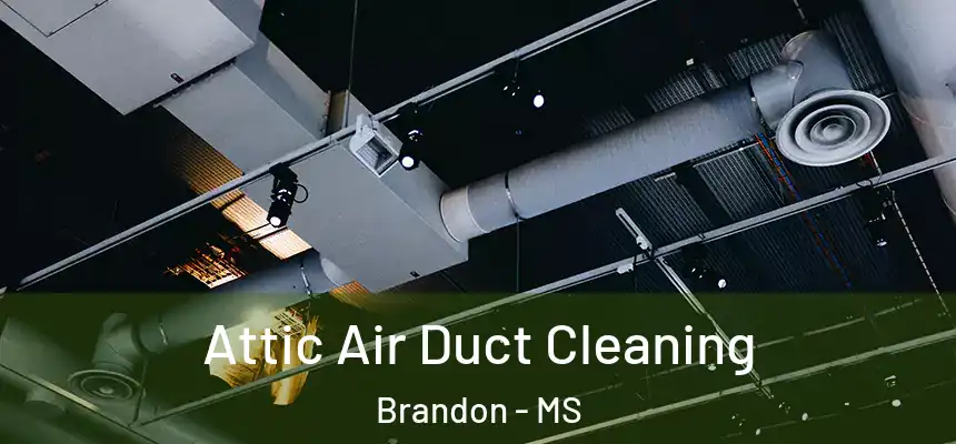  Attic Air Duct Cleaning Brandon - MS