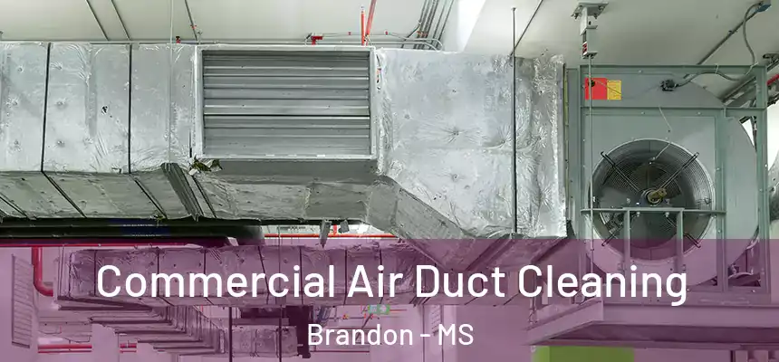  Commercial Air Duct Cleaning Brandon - MS