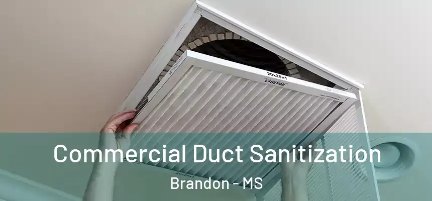 Commercial Duct Sanitization Brandon - MS