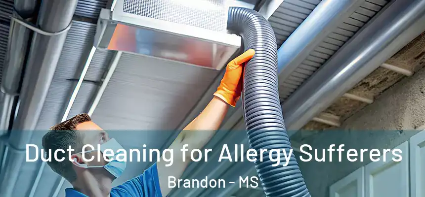 Duct Cleaning for Allergy Sufferers Brandon - MS