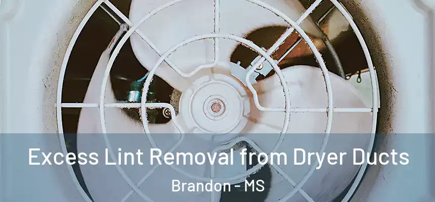 Excess Lint Removal from Dryer Ducts Brandon - MS