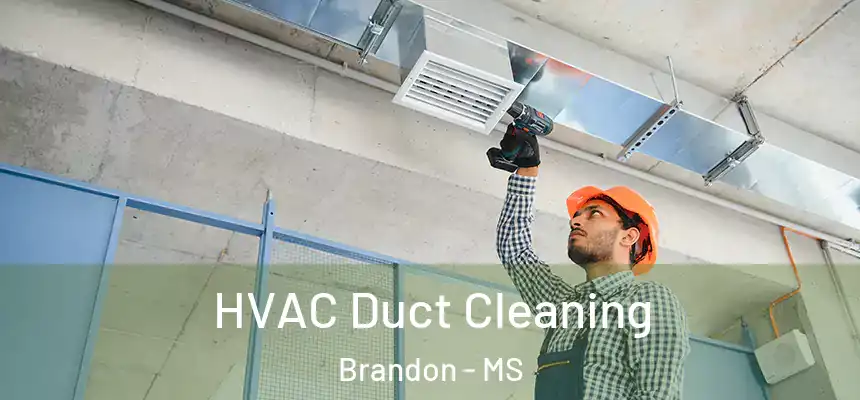 HVAC Duct Cleaning Brandon - MS