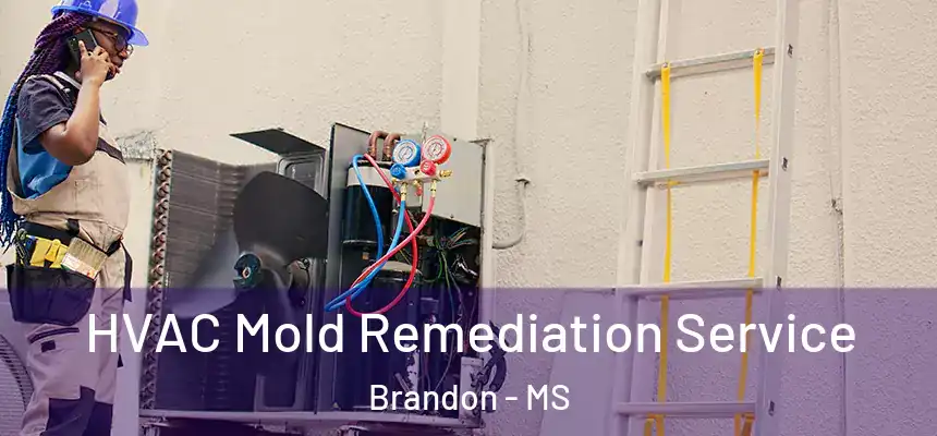 HVAC Mold Remediation Service Brandon - MS