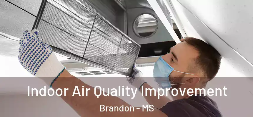 Indoor Air Quality Improvement Brandon - MS