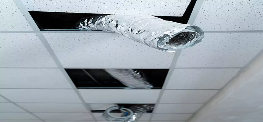 Our Air Duct Pet Hair Removal Services in Brandon, MS