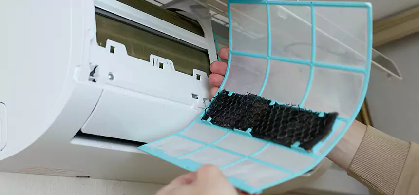 Gentle Ductwork Odor-Control Pet Dander Duct Cleaning in Brandon, MS