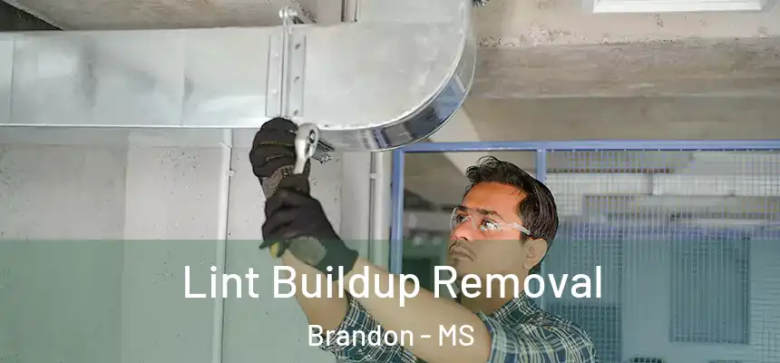  Lint Buildup Removal Brandon - MS