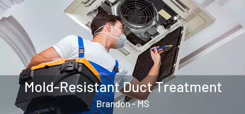  Mold-Resistant Duct Treatment Brandon - MS