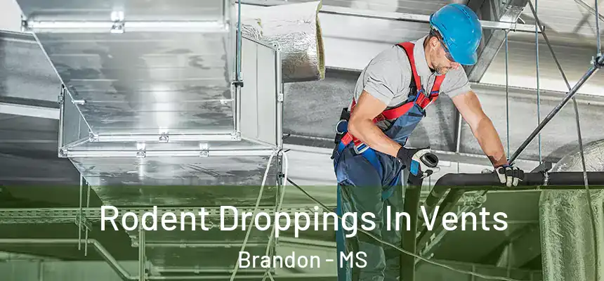 Rodent Droppings In Vents Brandon - MS