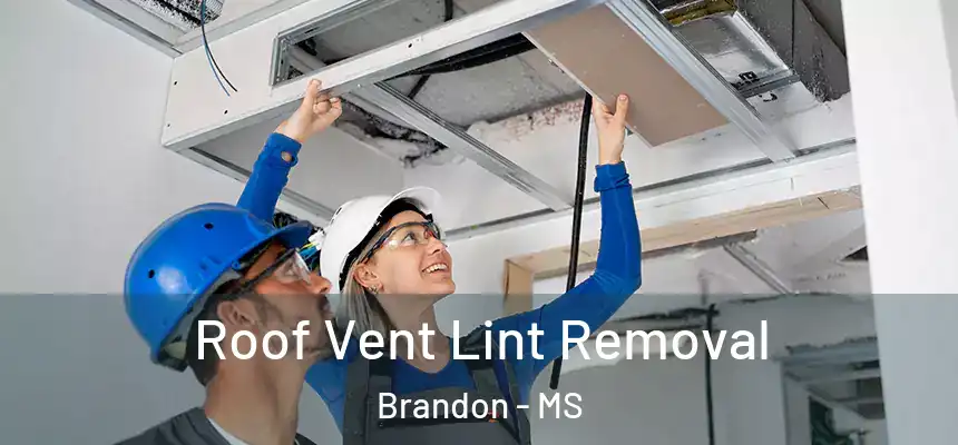 Roof Vent Lint Removal Brandon - MS