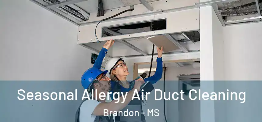 Seasonal Allergy Air Duct Cleaning Brandon - MS