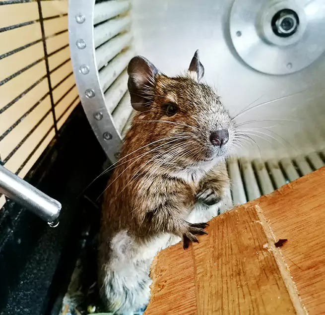 Why Homeowners & Businesses Trust Us Brandon, MS