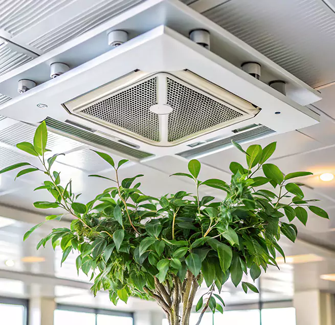 Why Homeowners & Businesses Trust Us in Brandon, MS?