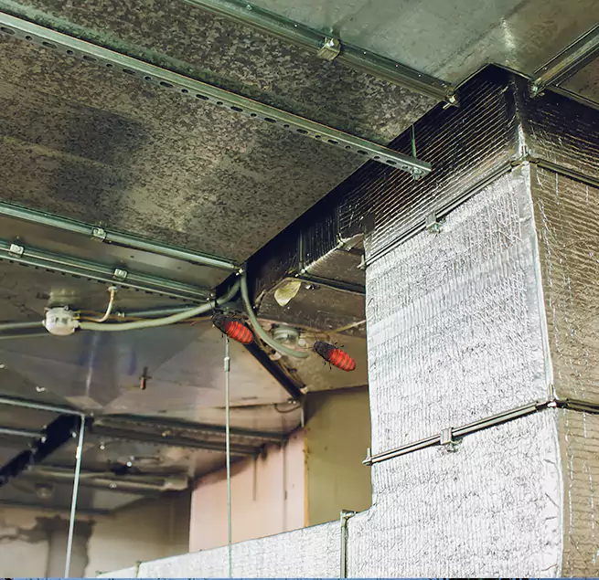 Why Homeowners & Businesses Trust Us Brandon, MS?