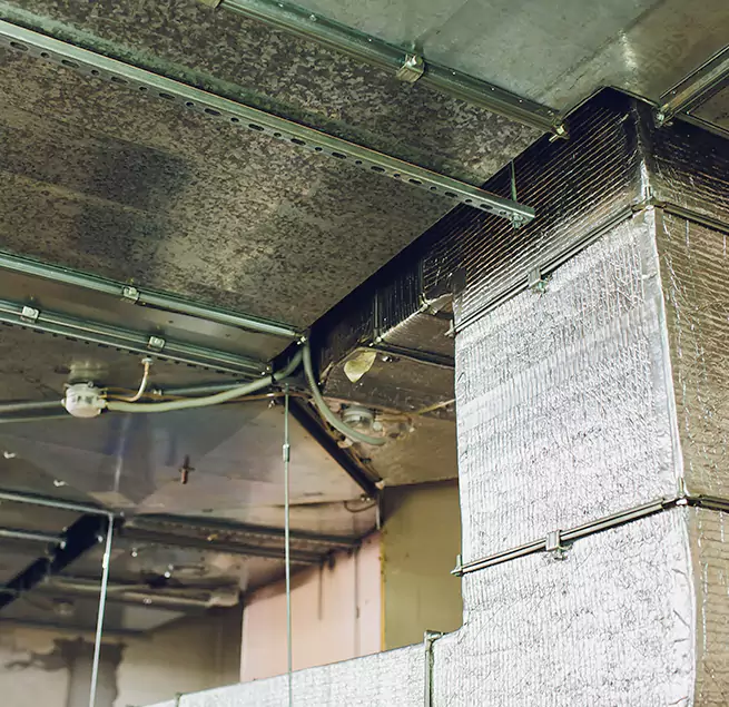 Why Homeowners & Businesses Trust Us in Brandon, MS?