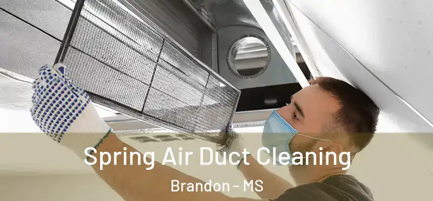  Spring Air Duct Cleaning Brandon - MS