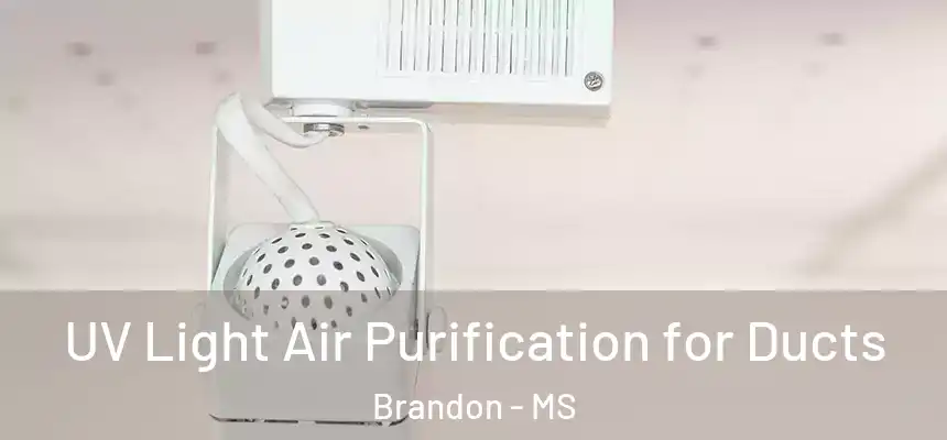 UV Light Air Purification for Ducts Brandon - MS