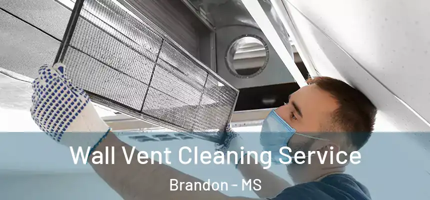 Wall Vent Cleaning Service Brandon - MS